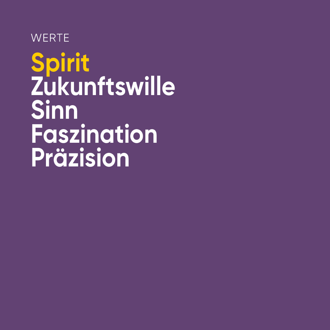 RBIO-Werte_Karten-Web-Spirit